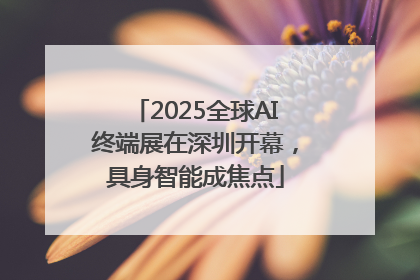 2025全球AI终端展在深圳开幕，具身智能成焦点