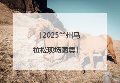 2025兰州马拉松现场图集