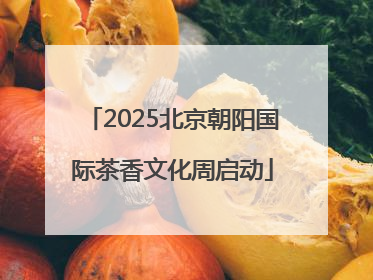 2025北京朝阳国际茶香文化周启动