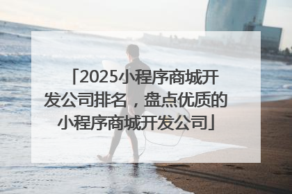 2025小程序商城开发公司排名，盘点优质的小程序商城开发公司