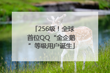 256级！全球首位QQ“金企鹅”等级用户诞生