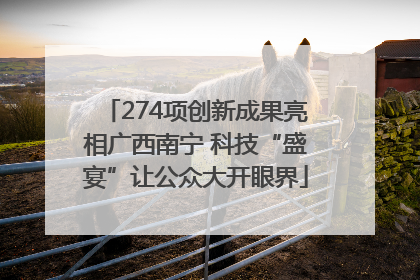 274项创新成果亮相广西南宁 科技“盛宴”让公众大开眼界