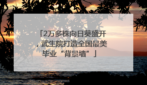 2万多株向日葵盛开，武生院打造全国最美毕业“背景墙”