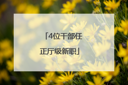 4位干部任正厅级新职