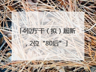 4位厅干（拟）履新，2位“80后”