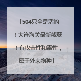 504只全是活的！大连海关最新截获！有攻击性和毒性，属于外来物种