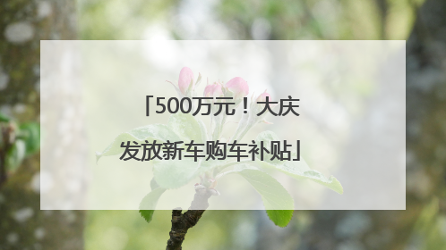500万元！大庆发放新车购车补贴