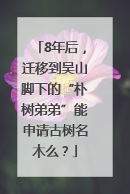 8年后，迁移到吴山脚下的“朴树弟弟”能申请古树名木么？