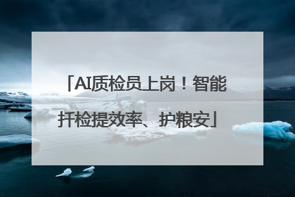 AI质检员上岗！智能扦检提效率、护粮安