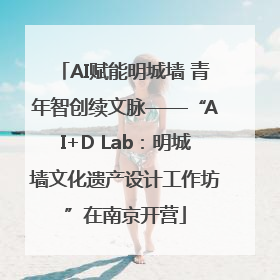 AI赋能明城墙 青年智创续文脉——“AI+D Lab：明城墙文化遗产设计工作坊”在南京开营