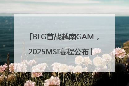 BLG首战越南GAM，2025MSI赛程公布
