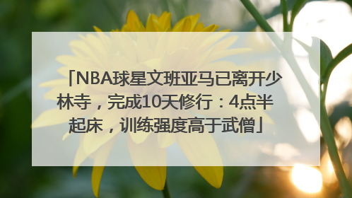 NBA球星文班亚马已离开少林寺，完成10天修行：4点半起床，训练强度高于武僧