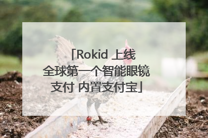 Rokid 上线全球第一个智能眼镜支付 内置支付宝