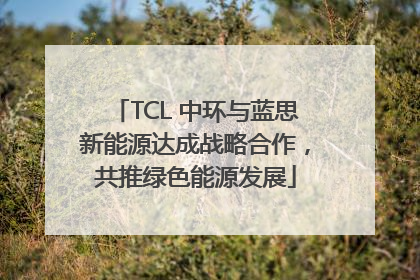 TCL 中环与蓝思新能源达成战略合作，共推绿色能源发展